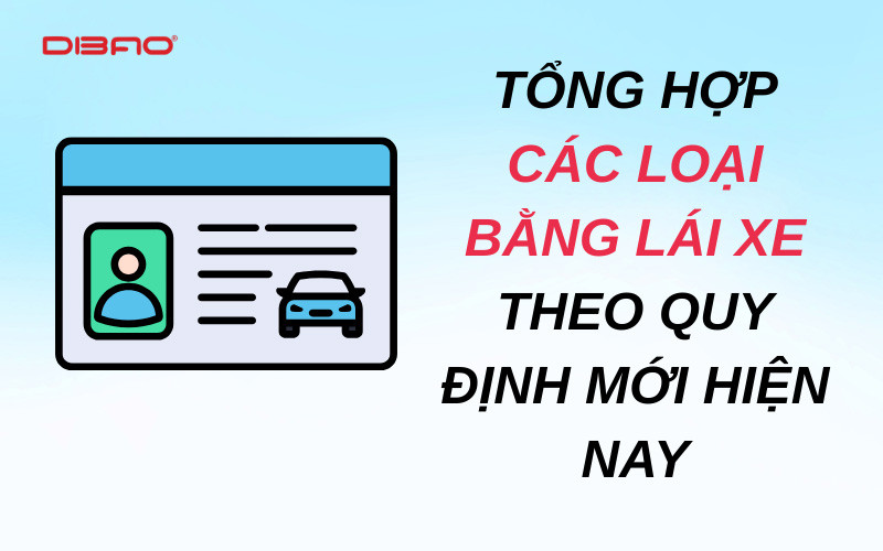 Tổng hợp các loại bằng lái xe theo quy định mới 2026